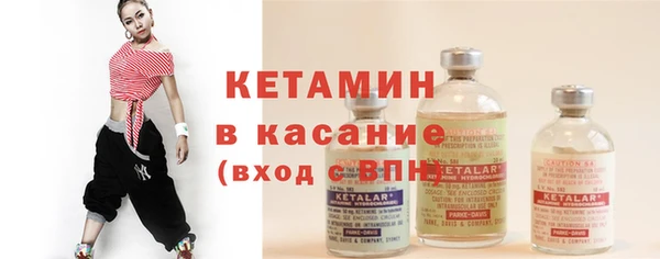 сатива Михайловка