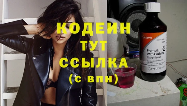 сатива Михайловка