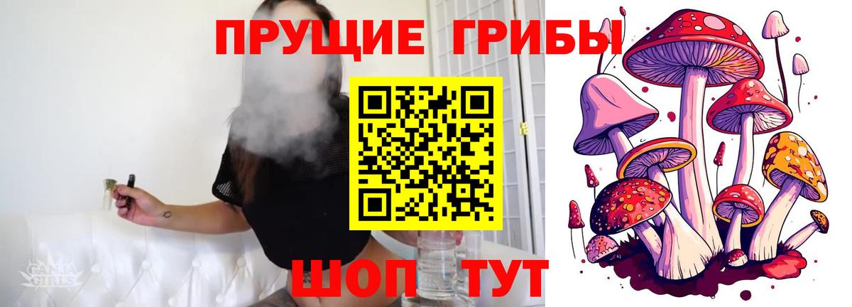 Галлюциногенные грибы Psilocybe Куйбышев